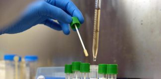 Covid, Regione Lombardia chiede ai medici di famiglia e ai pediatri di effettuare i tamponi