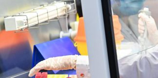 Scuola, Pacifico (Anief): “test salivare sia gratuito da 1 settembre ed equiparato a rapido”
