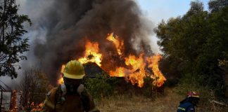 Grecia nella morsa degli incendi, ‘storica’ ondata di caldo