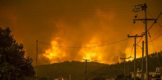 Incendi Grecia, sull’isola di Evia “non è rimasto nulla”