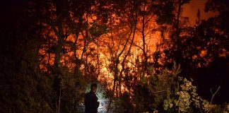 Incendi Calabria, c’è un’altra vittima