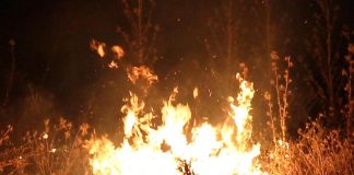 Incendi Calabria, emergenza mai vista. Draghi chiama Falcomatà