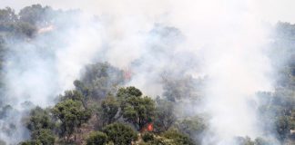Incendi Italia, da inizio anno bruciati 110mila ettari