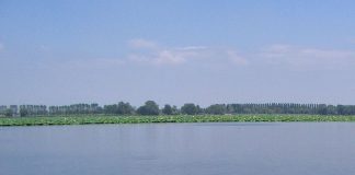 Domani la firma per la balneabilità del Lago Superiore. Palazzi: “E’ un momento storico”