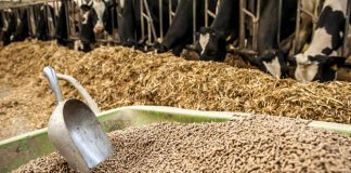 Rincari mangimi: dal governo 94 milioni agli allevatori. Coldiretti ringrazia il ministro Patuanelli