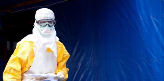 Virus Marburg, caso in Guinea: Oms e autorità sanitarie in campo