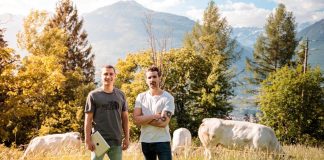 Startup Pascol verso 3° aumento capitale, food-tech per carne di qualità da piccoli allevatori