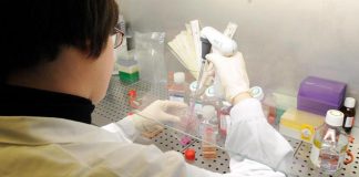 Aids, due scienziati italiani scelti dalla sanità Usa per trovare la cura