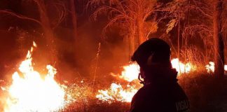 In arrivo il grande caldo, è allerta massima per gli incendi