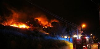 Incendi, Draghi firma dpcm mobilitazione nazionale per Sicilia