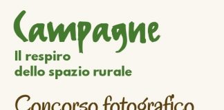 “Campagne” il concorso fotografico che racconta la storia del territorio mantovano
