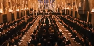 Ostiglia diventa Hogwarts con torneo, spettacoli e giochi nel segno di Harry Potter