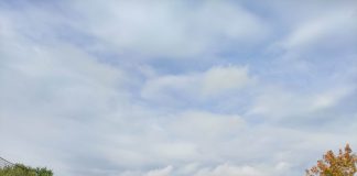 Canottieri, questa mattina soci in coda per votare