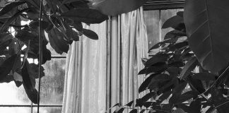 Domani a Gonzaga il Festival di Fotografia Contemporanea DiecixDieci