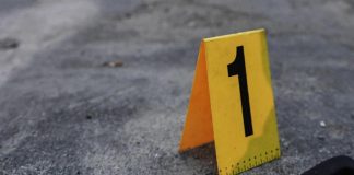 Catania, si lamenta del cane: il vicino lo accoltella