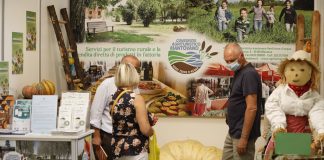 Il mercato contadino in Fiera Millenaria alla scoperta di gusto e tradizione