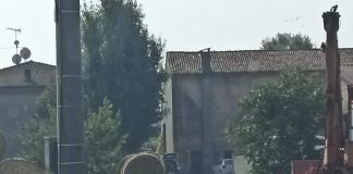 Spinto da una mucca contro il recinto della stalla. Ferito allevatore bagnolese 67enne