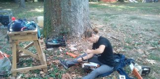 Sculture su legno: all’Isola Boschina al via la quinta edizione