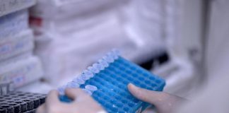 Sla, con intelligenza artificiale verso test sangue per diagnosi