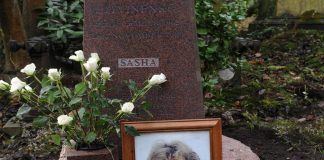 Litvinenko, Corte europea diritti umani: “Russia responsabile di assassinio”