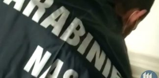 Marmirolo, nutrie nel freezer della trattoria: maximulta, denuncia e sospensione dell’attività