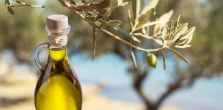 Salov, con metodo Berio olio certificato e sostenibile