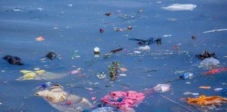 Clima, Blockchain sostenibile contro l’abuso di plastica