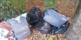 La denuncia di De Marchi: “Degrado e rifiuti ai Due Pini, sanzionare i responsabili”