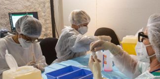 Green pass obbligatorio, aumento prenotazioni vaccino