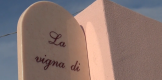 Ecco la vigna di Ivan: la Cantina di Quistello intitola il vigneto didattico a un giovane viticoltore scomparso a giugno