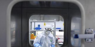 Covid, antivirale Pfizer ai primi segni di malattia: al via test