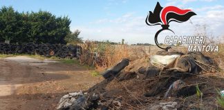 Buscoldo, azienda agricola trasformata in discarica: tre denunciati