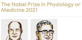 Il Nobel per la medicina agli studi sui recettori di temperatura e tatto
