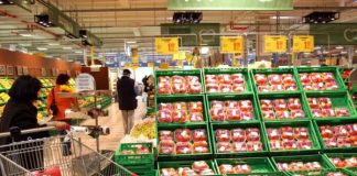 A ottobre sale la fiducia delle imprese ma cala per i consumatori