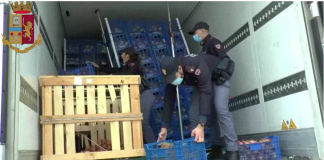 Maxi sequestro di hashish: investigatori al lavoro per capire il destinatario e far luce sul carico