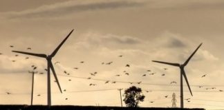 Alla società Agire il premio “EU Sustainable Energy Awards 2021”
