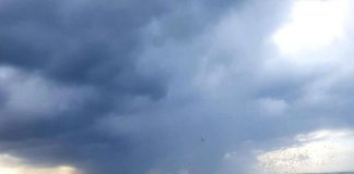 G20, la storica ambientalista Mariagrazia Midulla: “Sul clima tutti hanno da perdere tutto”