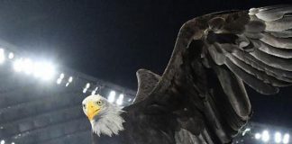 Lazio, addestratore Olympia: “Sono di destra, il mio è saluto militare”