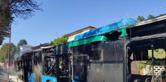 Autobus distrutto dalle fiamme a Felonica: in salvo autista e passeggeri