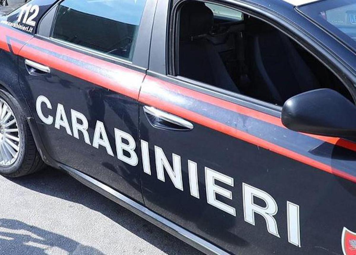 Controlli dei carabinieri nell'Alto Mantovano: impegnati 15 militari, 7 ...