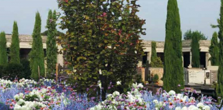 Al Cimitero degli Angeli un giardino della memoria per le vittime del Covid. Domenica l’inaugurazione Al Cimitero degli Angeli un giardino della memoria per le vittime del Covid. Domenica l'inaugurazione