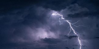 Massa, fulmine stermina gregge di capre