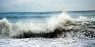 ‘IllusiOcean’, Orlandi (UniBicocca): “Così abbiamo fatto incontrare competenze e divulgazione”