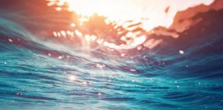 Mostre: ‘IllusiOcean’, Leone (Direttore Focus), ‘Un modo originale e divertente per diffondere conoscenza’