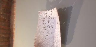 Successo per le mostre nelle Pescherie: già 1500 i visitatori. Oggi il via alla terza esposizione