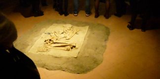 Holloween, al Museo Archeologico visita tematica per grandi e piccini