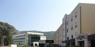 Neuromed protagonista al X Congresso su mGlu