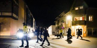 Norvegia, intelligence: “A Kongsberg atto di terrorismo”