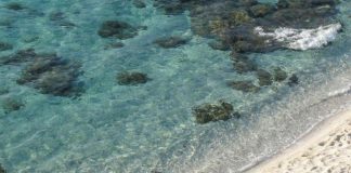 ‘IllusiOcean’, Galli: “Illusione e scienza si fondono per parlare la lingua della bellezza”