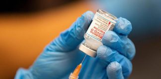 Vaccino Moderna, Ema: “Ipotesi più rischi per cuore dopo seconda dose”